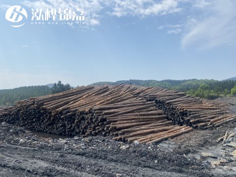 河道打樁為什么選擇松木樁來(lái)處理軟地基？-松木樁施工使用范圍